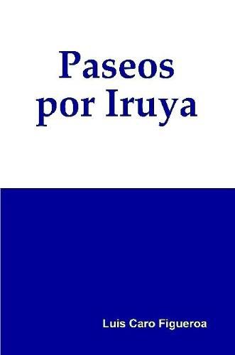 Cover image for Paseos por Iruya