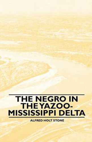 Cover image for The Negro in the Yazoo-Mississippi Delta