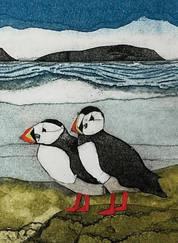Cover image for Wild Birds Pocket Notebook: Puffin