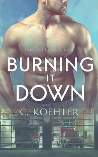 Cover image for Burning It Down