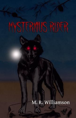 Cover image for Mysterious Rider