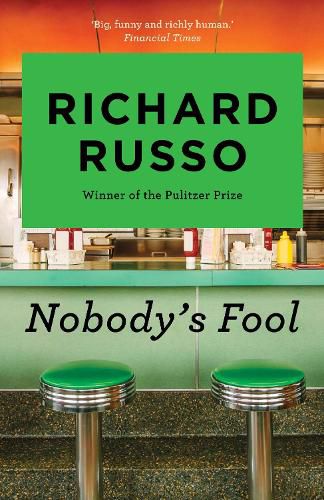 Cover image for Nobody's Fool
