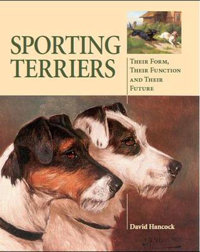 Sporting Terriers: Their Form, Their Function and Their Future