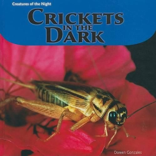 Cover image for Crickets in the Dark