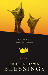 Cover image for Broken Dawn Blessings: Poems