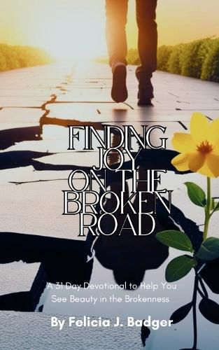 Cover image for Finding Joy on the Broken Road
