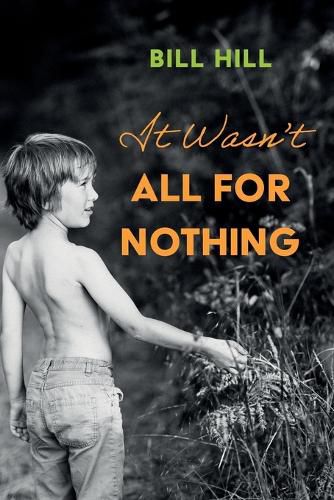 Cover image for It Wasn't All for Nothing