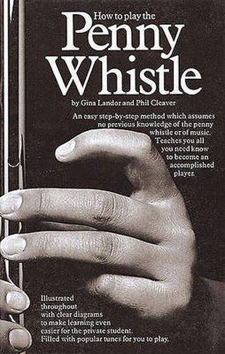 Cover image for How To Play The Penny Whistle