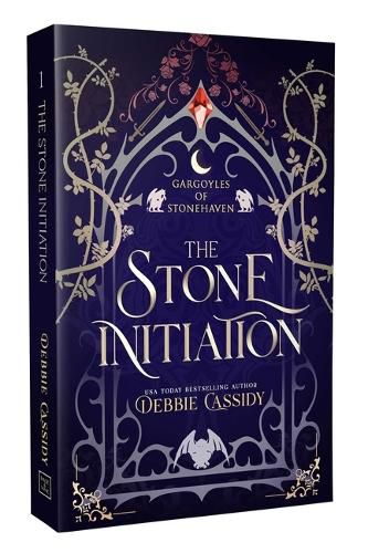 Cover image for The Stone Initiation