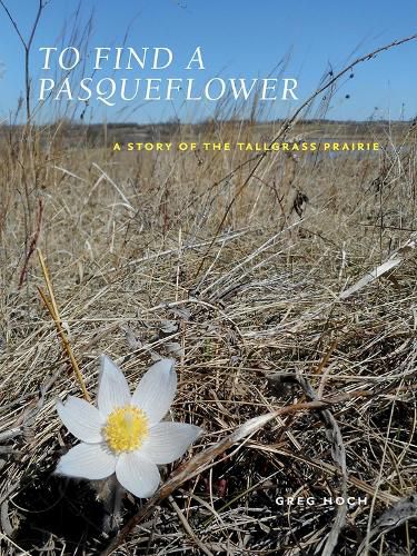 Cover image for To Find a Pasqueflower: A Story of the Tallgrass Prairie