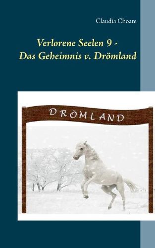 Cover image for Verlorene Seelen 9 - Das Geheimnis von Droemland