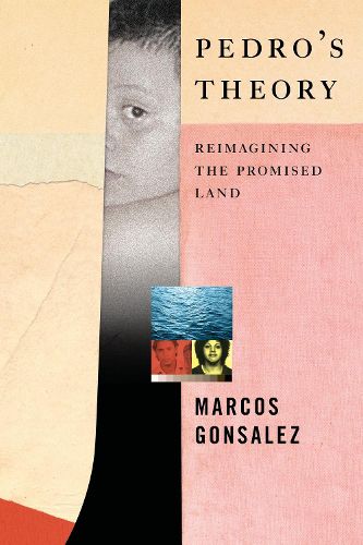 Cover image for Pedro's Theory