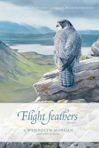 Cover image for Flight Feathers: Poems