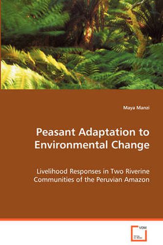 Cover image for Peasant Adaptation to Environmental Change