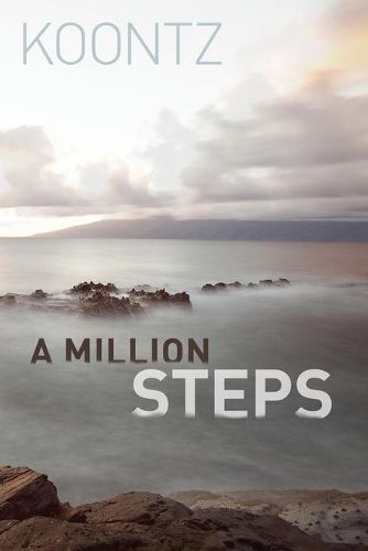 Cover image for A Million Steps