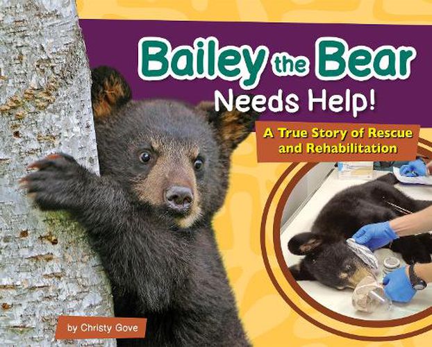 Cover image for Bailey the Bear Needs Help!