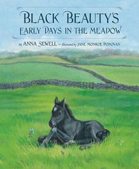 Cover image for Black Beauty's Early Days in the Meadow