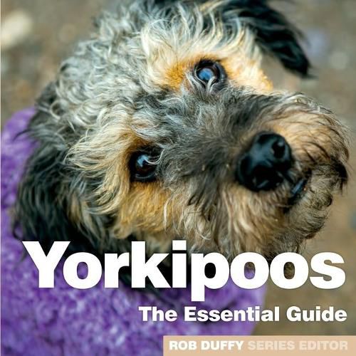 Cover image for Yorkipoos: The Essential Guide