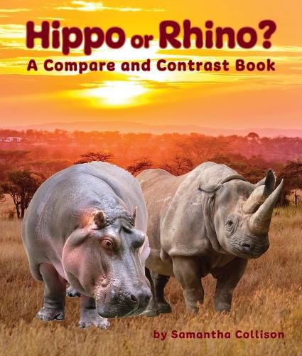 Cover image for Hippo or Rhino? a Compare and Contrast Book