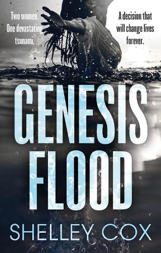 Cover image for Genesis Flood