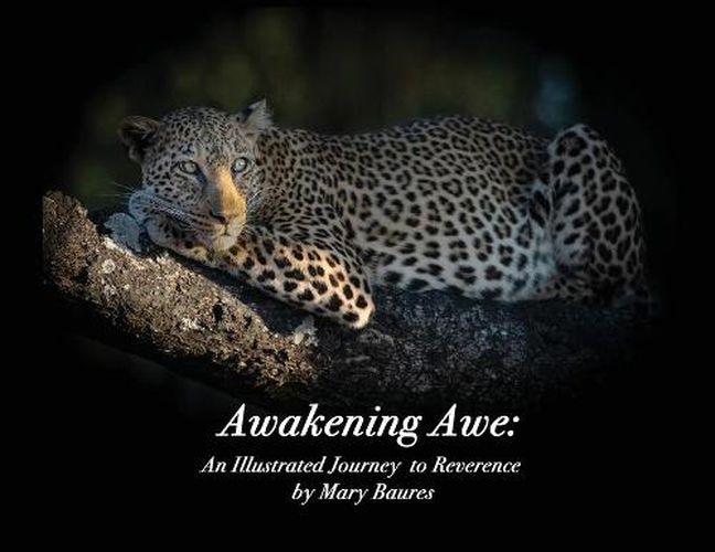 Cover image for Awakening Awe: An Illustrated Journey to Reverence