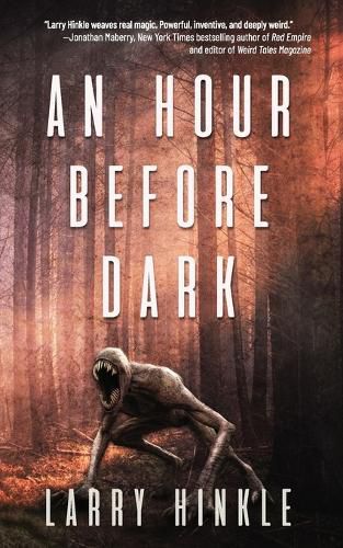 Cover image for An Hour Before Dark