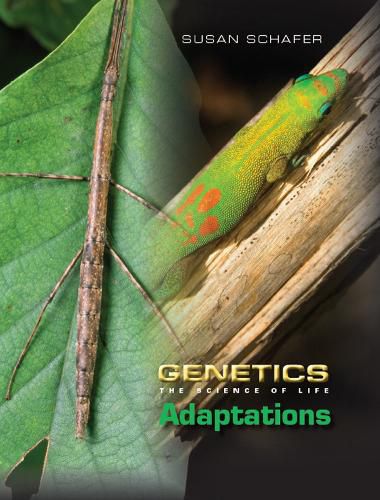 Cover image for Adaptations: The Science of Life