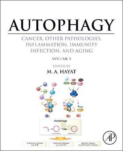 Cover image for Autophagy: Cancer, Other Pathologies, Inflammation, Immunity, Infection, and Aging: Volume 1 Molecular Mechanisms