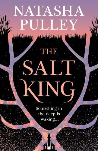 Cover image for The Salt King