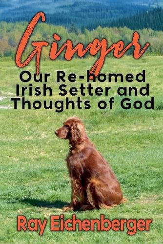 Cover image for Ginger- Our Re-homed Irish Setter and Thoughts of God