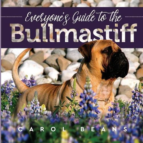 Cover image for Everyone's Guide to the Bullmastiff