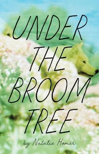 Cover image for Under the Broom Tree