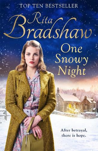 Cover image for One Snowy Night