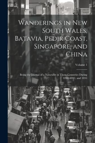 Cover image for Wanderings in New South Wales, Batavia, Pedir Coast, Singapore, and China