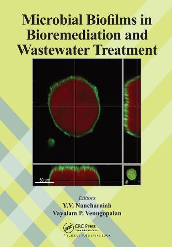 Cover image for Microbial Biofilms in Bioremediation and Wastewater Treatment