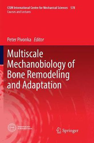 Cover image for Multiscale Mechanobiology of Bone Remodeling and Adaptation