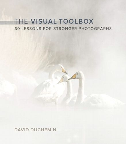 Cover image for Visual Toolbox, The: 60 Lessons for Stronger Photographs