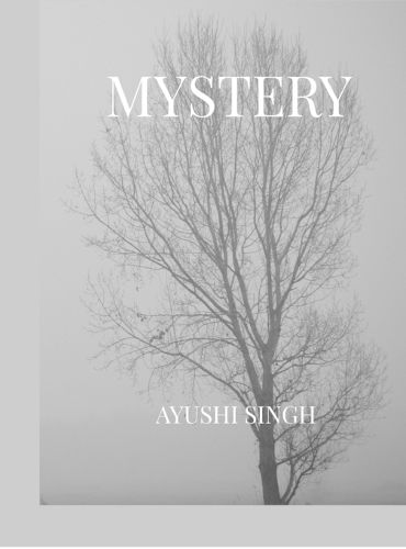 Cover image for Mystery