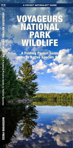 Cover image for Voyageurs National Park Wildlife