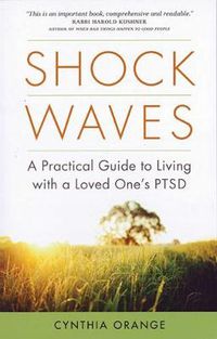 Cover image for Shock Waves