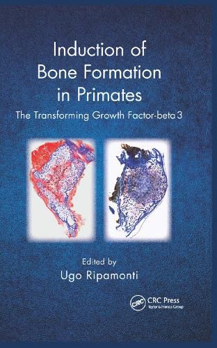 Cover image for Induction of Bone Formation in Primates: The Transforming Growth Factor-beta 3