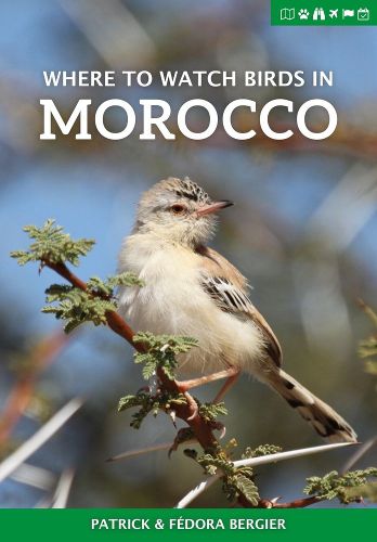 Cover image for Where to Watch Birds in Morocco