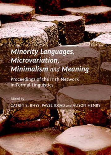 Cover image for Minority Languages, Microvariation, Minimalism and Meaning: Proceedings of the Irish Network in Formal Linguistics