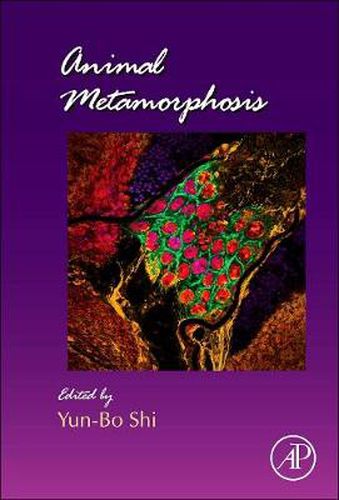 Cover image for Animal Metamorphosis