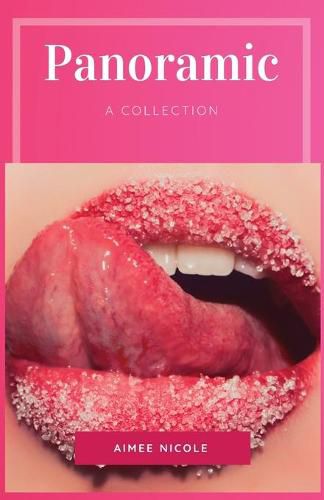 Cover image for Panoramic