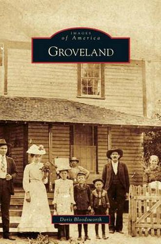 Cover image for Groveland