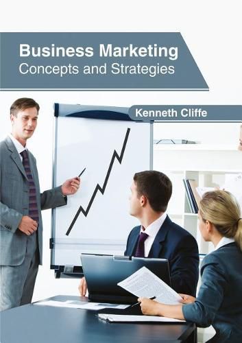 Cover image for Business Marketing: Concepts and Strategies