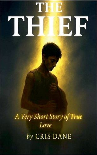 Cover image for The Thief