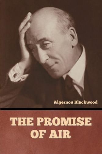 Cover image for The Promise of Air