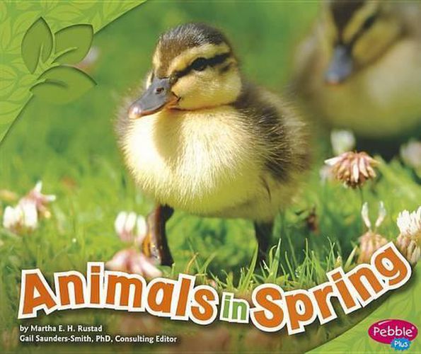 Cover image for Animals in Spring (All About Spring)